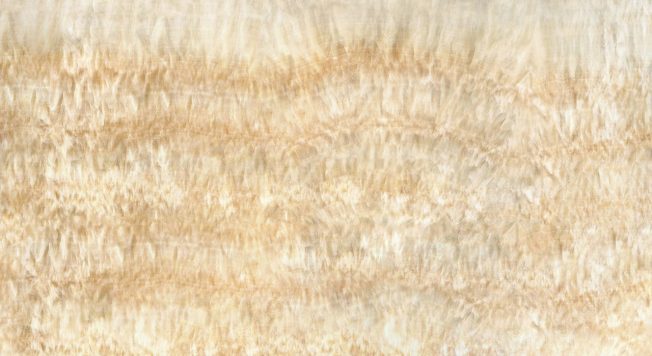 onyx_Honey-Onyx_t1xCnSyjyYG7kY79hXhA